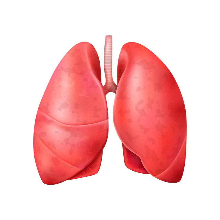 Pulmonology diseases